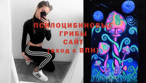 Альфа ПВП Арсеньев