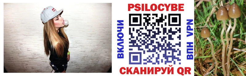 сколько стоит  Фролово  дарк нет телеграм  Псилоцибиновые грибы прущие грибы 